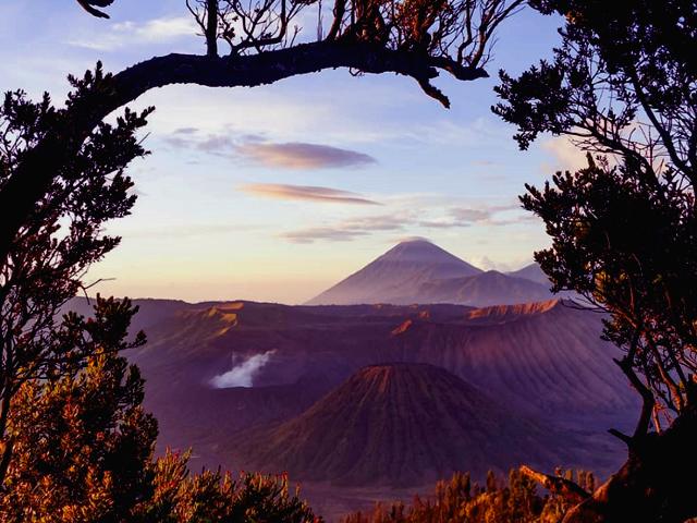 Read more about the article 1 Day Bromo Tour