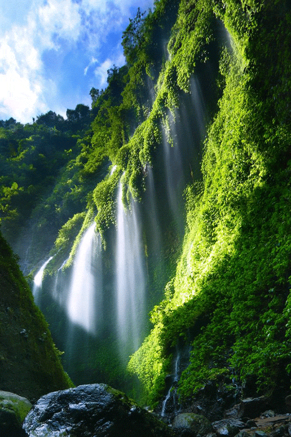 Madakaripura Waterfall Bromo