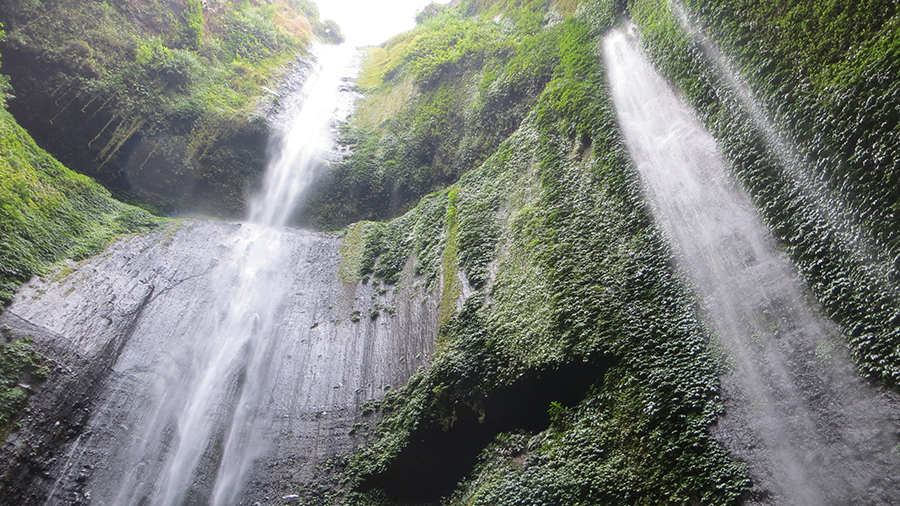 Madakaripura Waterfall Tour - Mount Bromo Tour From Surabaya
