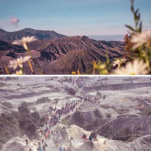 Bromo Tour Package 2 Days